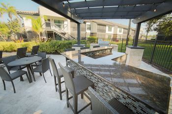 The Palms of Clearwater Apartments Outdoor Summer Kitchen
